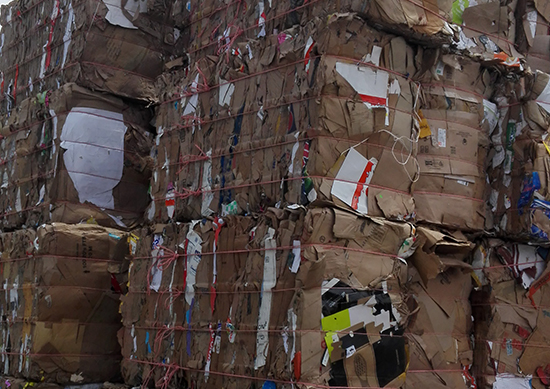 reciclaje de pet