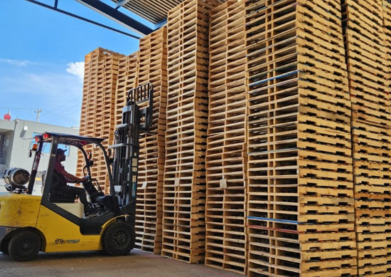 tarimas de madera en guadalajara